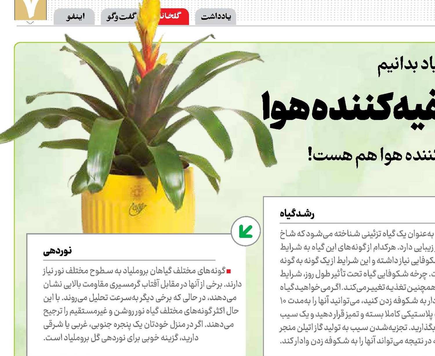 خوش شاخ و برگ و تصفیه‌کننده هوا