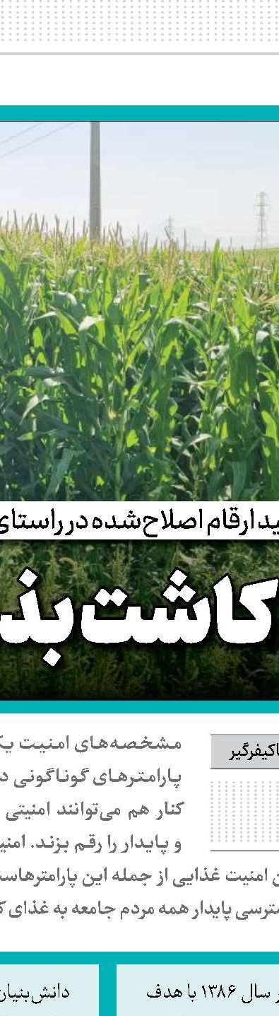 استفاده از مطالبات به‌عنوان ضمانت و حسن انجام کار