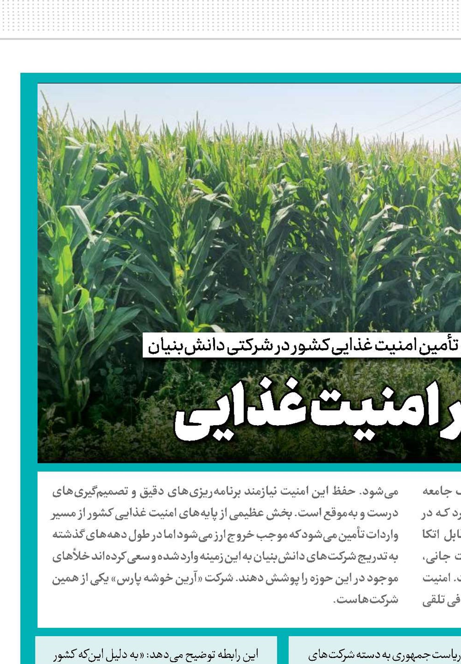 کاشت بذر امنیت غذایی
