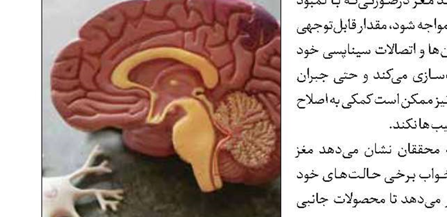 خوش‌نشینی قوها