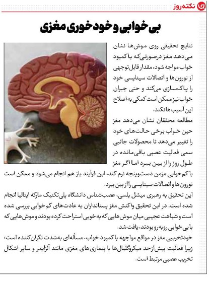 بیخوابی و خودخوری مغزی