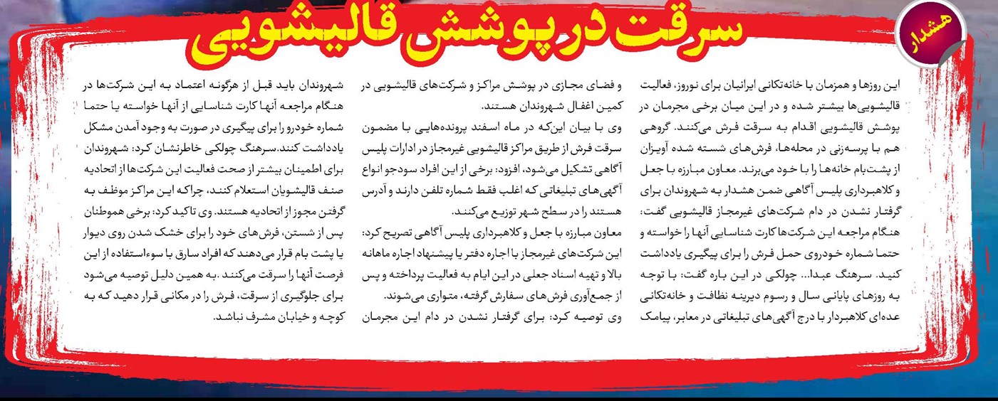 سرقت در پوشش قالیشویی